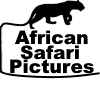 African Safari Pictures Logo