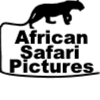 African Safari Pictures Logo